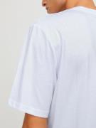 JACK & JONES Bluser & t-shirts 'LOGAN'  blå / taupe / hvid