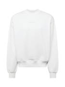 Tommy Jeans Sweatshirt 'CLASSICS'  røggrå / hvid