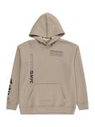 Abercrombie & Fitch Sweatshirt  khaki / sort