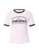 ADIDAS ORIGINALS Shirts  aubergine / lyserød