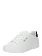 Calvin Klein Sneaker low  sort / hvid