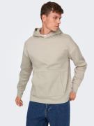 Only & Sons Sweatshirt 'Dan'  grå