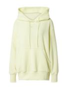 Nike Sportswear Sweatshirt  pastelgrøn