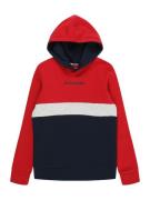 Jack & Jones Junior Sweatshirt 'Ereid'  navy / rød / hvid