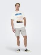 Only & Sons Bluser & t-shirts 'KOLTON'  sand / mørkeblå / mørkegrøn / ...