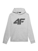 4F Sportsweatshirt  antracit / lysegrå