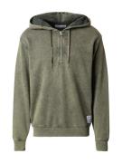 REPLAY Sweatshirt  grå / lysegrøn