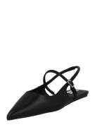 STEVE MADDEN Ballerinasko med rem 'Krysten'  sort