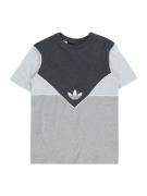 ADIDAS ORIGINALS Shirts 'Adicolor'  grå / antracit / grå-meleret / hvi...