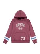 LEVI'S ® Sweatshirt  blå / rød / burgunder / hvid