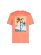 O'NEILL Bluser & t-shirts  blandingsfarvet / koral