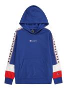 Champion Authentic Athletic Apparel Sportsweatshirt  blå / rød / hvid