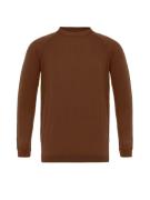 Antioch Pullover  brun