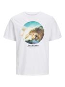 JACK & JONES Bluser & t-shirts 'CELLOX'  sand / blå / sort / hvid