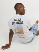 JACK & JONES Bluser & t-shirts 'Aruba Landscape'  opal / lyseorange / ...