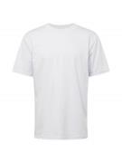 HOLLISTER Bluser & t-shirts 'MAR4'  lysegrå
