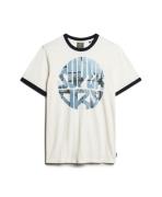 Superdry Bluser & t-shirts  blå / navy / røgblå / hvid