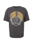 JACK & JONES Bluser & t-shirts 'LEGEND'  curry / mørkegrå / pastelgrøn...