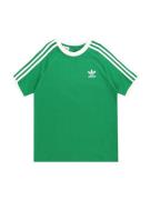 ADIDAS ORIGINALS Shirts 'Adicolor'  græsgrøn / offwhite