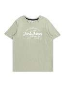 Jack & Jones Junior Shirts 'FOREST'  pastelgrøn / hvid