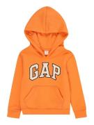 GAP Sweatshirt 'NOVELTY'  natblå / lyseblå / orange