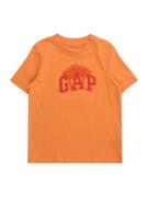 GAP Shirts  mandarin / brandrød