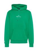 Polo Ralph Lauren Sweatshirt  grøn / hvid