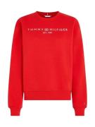 TOMMY HILFIGER Sweatshirt  rød / hvid