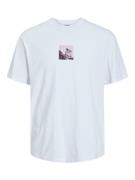 JACK & JONES Bluser & t-shirts 'BERLIN'  creme / lilla / sort