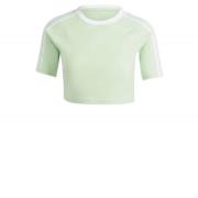 ADIDAS ORIGINALS Shirts  lysegrøn / hvid