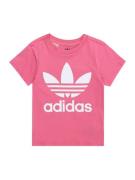 ADIDAS ORIGINALS Shirts 'TREFOIL'  lys pink / hvid