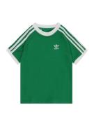 ADIDAS ORIGINALS Shirts 'Adicolor 3-Stripes'  grøn / hvid