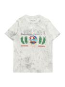 Abercrombie & Fitch Shirts 'JAN'  blå / grå-meleret / grøn / hvid