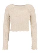 Only Petite Pullover 'CILLE'  beige