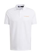 Karl Lagerfeld Bluser & t-shirts  lyseorange / hvid