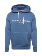 TOMMY HILFIGER Sweatshirt  opal / mørkeblå / rød / hvid