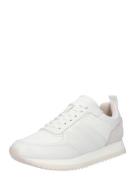 Calvin Klein Sneaker low  pastelpink / hvid