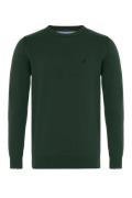 DENIM CULTURE Pullover ' NEROLI '  grøn