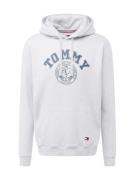 Tommy Jeans Sweatshirt  safir / lysegrå / rød / hvid