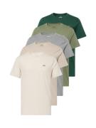 HOLLISTER Bluser & t-shirts  beige-meleret / grå-meleret / oliven / gr...