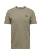 Superdry Bluser & t-shirts 'Essential'  oliven