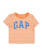 GAP Shirts  royalblå / mandarin / fersken