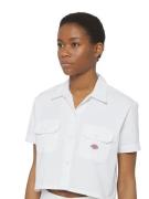 DICKIES Bluse  hvid / naturhvid