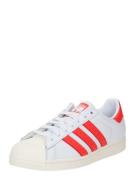 ADIDAS ORIGINALS Sneaker low 'SUPERSTAR'  blodrød / knaldrød / hvid