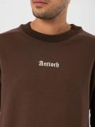 Antioch Sweatshirt  brun / kastaniebrun / hvid