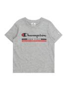 Champion Authentic Athletic Apparel Shirts  blå / grå / blodrød / hvid