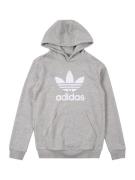 ADIDAS ORIGINALS Sweatshirt 'TREFOIL'  grå-meleret / hvid