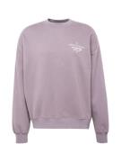 Abercrombie & Fitch Sweatshirt  marin / pastelgul / lilla / hvid