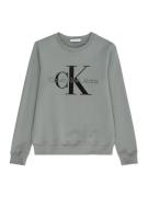 Calvin Klein Jeans Sweatshirt  siv / sort