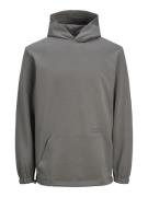 JACK & JONES Sweatshirt 'Altitude'  grå